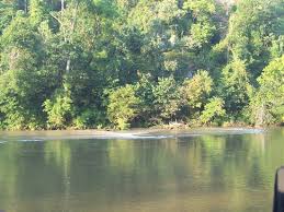 A national natural landmark, mammoth spring is one of the world's largest springs with nine million gallons of water flowing hourly. Riverside Campground Mammoth Springs Ar Review Of Spring River Arkansas United States Tripadvisor