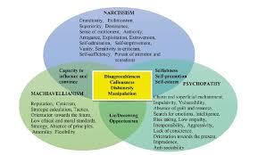 Image result for Cluster B Personality Disorder