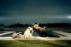 Lady gagacon licencia para youtube de (en representación de sony music entertainment); Music Video Dog Gif By Lady Gaga Find Share On Giphy
