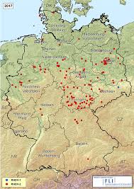 Check spelling or type a new query. Hamorrhagische Kaninchenkrankheit Friedrich Loeffler Institut