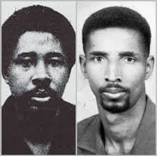 Legacy of Shadows: Unveiling the Hidden Past