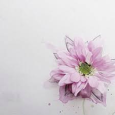 78 likes 1 comments صور تصاميم rosie pic 03 on instagram خلفية من حساب a aisha87 a aisha87 a aisha8 flower backgrounds framed wallpaper art