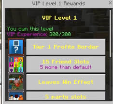 Bds is a server hosting tool similar to the java edition server. Question About The Vip Levels On The Bedrock Server Cubecraft Games