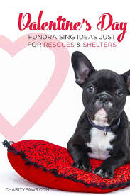 Valentine's day is the perfect time of year to raise money for your cause. 10 Valentine Fundraiser Ideas For Your Rescue Or Shelter Animal Rescue Fundraising Fundraiser Valentines Animal Shelter Fundraiser