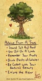 Pin By Camp Fire Gulf Wind Inc On Quotes Quotes For Kids Words Words Of Wisdom