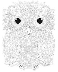 Night Owls 25 Coloring Canvas Owl Coloring Pages Coloring Canvas Colorful Owl Drawing