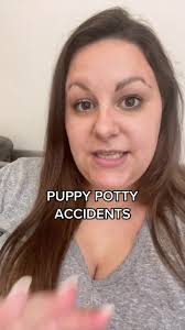 Effective Ways to Clean Up Puppy Potty Accidents