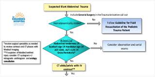 Image result for PECARN Pediatric Intra-Abdominal Injury Algorithm