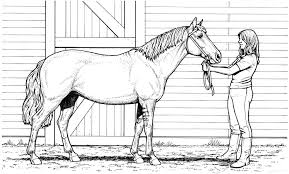 Disegni da colorare barbie con cavallo coloratutto website. Disegni Da Colorare Cavallo Grande Collezione 100 Pezzi Stampa Online