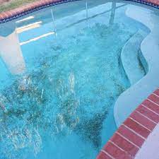 Apply a quality pool shock product and follow the label directions to boost any residual chlorine in your pool. How To Kill Black Algae In Your Pool In 14 Steps