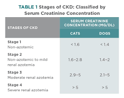 Treatment Guidelines For Chronic Kidney Disease In Dogs Cats