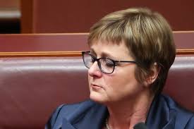 Defence minister linda reynolds joins 7.30 to discuss the government's new defence strategy. Brittany Higgins Allegations Under Fire Minister Linda Reynolds Taking Medical Leave