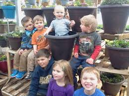 Check spelling or type a new query. The Team Cherry Hill Greenhouse