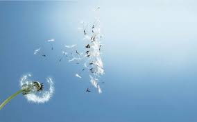 Và khi thấy nó đã lo âu đến độ tuyệt vọng, sắp khóc đến nơi, bấy giờ bà mẹ mới xuất hiện. Trong Song Gio Cuá»™c Ä'á»i Tráº§m TÄ©nh Má»›i La Cáº£nh Giá»›i Cao Nháº¥t Cá»§a Nhan Sinh Váº¡n Ä'iá»u Hay