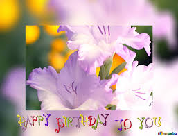 Check spelling or type a new query. Kostenloses Bild Herunterladen Beautiful Flowers For Congratulations Happy Birthday Card Auf Cc By Lizenz Torange Biz Fx 215818