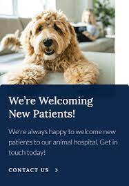 Sign up to the downtown simi valley newsletter and receive exclusive deals, events, and local news straight to your inbox! Patient Information Park Animal Hospital
