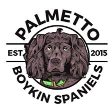 Is your family ready to buy a boykin spaniel dog in south carolina, usa? Palmetto Boykin Spaniels Home Facebook