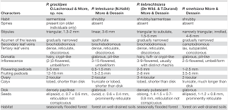 Image result for Pauridiantha