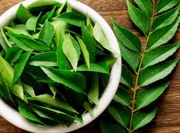 Curry leaves provide us numerous health benefits like boosting iron levels, controls blood sugar levels, aids. 11 Benefits Of Curry Leaves Tribeca Care