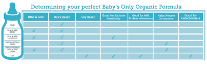 Baby S Only Organic Lactorelief With Dha Ara Toddler Formula 12 7 Ounce Pack Of 6 Amazon Com Grocery Gourmet Food