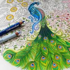 Instagram Photo By Chris Cheng Jan 11 2016 At 7 17am Utc Secret Garden Coloring Book Finished Johanna Basford Coloring Johanna Basford Coloring Book