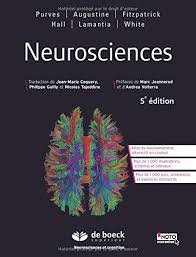 S M Catalogue De La Bibliotheque Details De La Notice Neuroscience Ebook Marketing Volterra