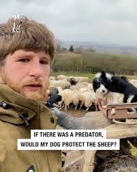 Lorraine Eggers's Instagram, Twitter & Facebook