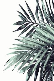 Seasons reflect on the palm leaves in a spectrum of colors. Palm Leaf Print Watercolor Palm Leaves Tropical Leaf Print Botanical Print Download Boho Printable Wall Art Palm Trees Wallpaper Palm Leaf Wallpaper Palm Leaves Print