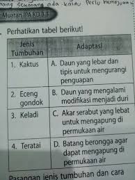 Pasangan Jenis Tumbuhan Dan Cara Penyesuaian Diri Dengan Lingkungan Yg Tepat Adalah Brainly Co Id