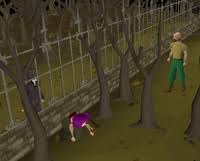 Check spelling or type a new query. Misthalin Mystery Osrs Wiki