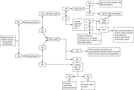 Image result for Bartholin's gland abscess