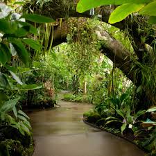 New York Botanical Garden The Conservatory S Lowland Rainforest Exhibit Lowland Rainforest Garden Architecture Tropical Garden Tropical Garden Design