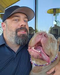 Just because she has no eyes doesn't mean she isn't one of the bestest dogs  ever! You all love photos of Mercy, so here's another one! Mercy is hanging  out with us