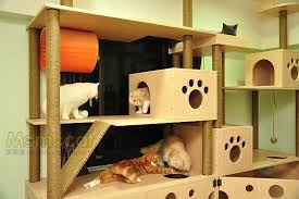 momocat 摸摸貓 手作貓跳台貓家具 隨意窩xuite日誌 home decor bird house outdoor decor