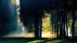 Morning Beautiful Nature Landscape Nature