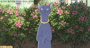All ruri midorikawa wanted out of college life was an escape from the shadow of her best frenemy, asahi shinomiya. 1g0n2xmqxhxnom