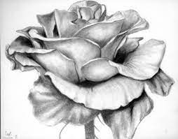 15 gambar sketsa bunga dari pensil yang mudah dibuat. Gambar Vignet Bunga Mudah Contoh Gambar Bunga Contoh Gambar Poster Dadah Mungkin Saat Ini Kalian Sedang Mencari Beberapa 3 Sketsa Sketsa Seni Sketsa Bunga