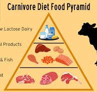 Ultimate Carnivore Diet Food List | Everything You Need ...