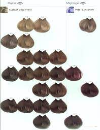 Majirel 8 12 9 22 Hair Color Chart Loreal Hair Color Chart Loreal Hair Color