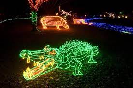 Zoolights Oregon Zoo Http Www 10best Com Awards Travel Best Public Lights Display Zoo Lights Oregon Zoo