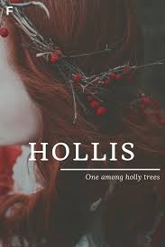 Hollis Nature Names H Baby Names Female Names