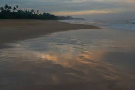 Sri lanka ist für seine wunderschönen strände, speziell im süden des landes, bekannt. Morgen Am Strand Picture Of Centara Ceysands Resort Spa Sri Lanka Level 1 Safe Secure Bentota Tripadvisor