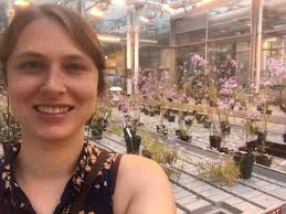 Summer Research Snapshots 2019