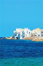 Tunisia Travel Africa Travel Viewing Wildlife Tunisia