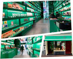 Shipping is paid but they offer a unique deal no other marijuana seeds bank offers. Cannabis Samen Shop In Amsterdam Royal Queen Seeds