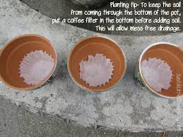 5+ uses for coffee filters in the garden. Mod Podge Collage Flower Pots New Years Goals Collage Just A Little Creativity