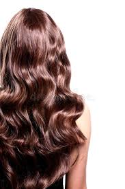 Maybe you would like to learn more about one of these? 10 691 Back Curly Hair Photos Free Royalty Free Stock Photos From Dreamstime