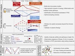 A section that measures cognitive abilities, and a section that measures personality traits. Molecular Choreography Of Acute Exercise Sciencedirect