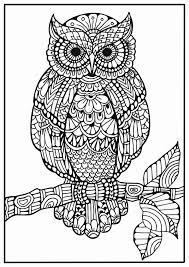 Owl Coloring Book For Adults Fresh 17 Best Images About Owl Coloring Pages For Adults On Pinterest In 2020 Owl Coloring Pages Animal Coloring Pages Owls Drawing