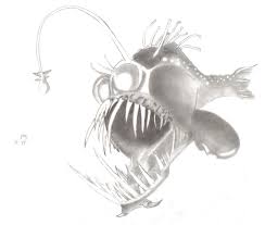 Rainbow gradient line drawing cartoon surprised fish 24. Angler Fish Anatomy
